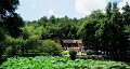 長沙出發(fā)到花明樓、韶山、張家界國家森林公園、天門仙山國家森林公園四日游