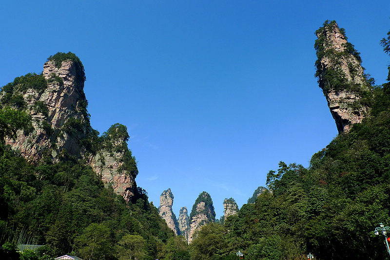 張家界國家森林公園、黃龍洞、天門山、鳳凰古城純玩五日游